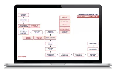 Organograma do processo seletivo.
